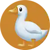 Максим Соболев